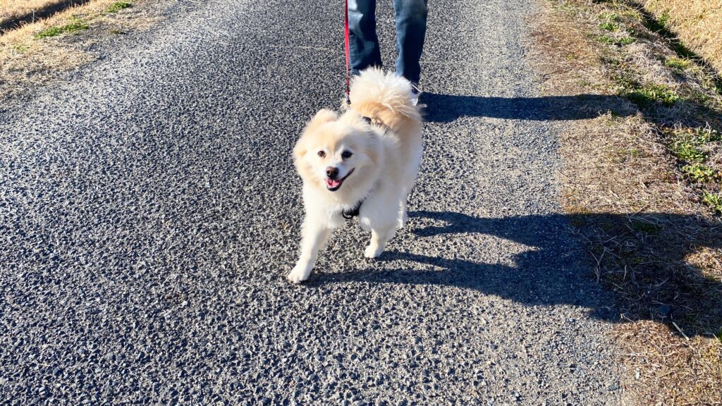 突然のダッシュ！