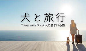 犬と旅行